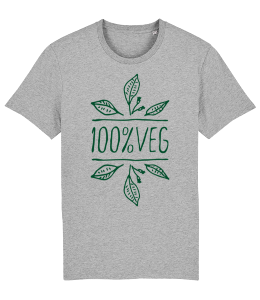 100 % Végétarien - T-shirt bio Homme Stanley Stella - Gris chiné - Devant