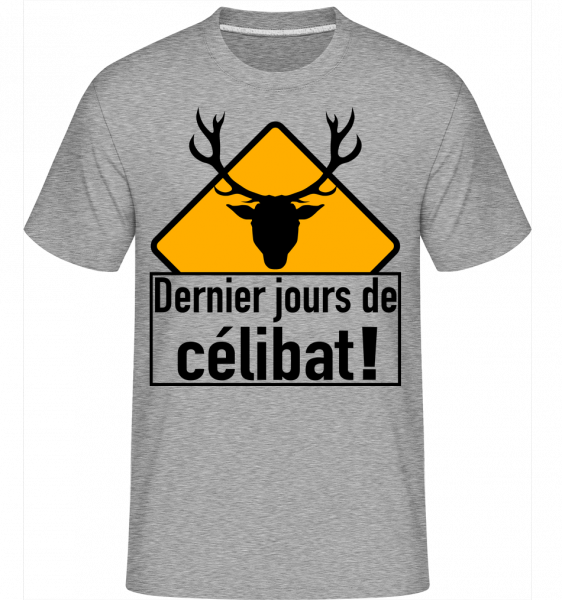 Célibat -  T-Shirt Shirtinator homme - Gris chiné - Vorn